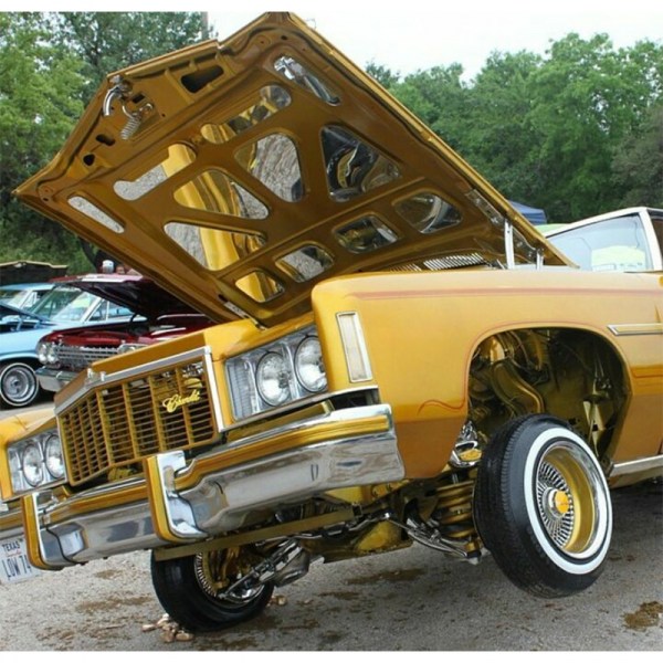 1973-74 Caprice Hood